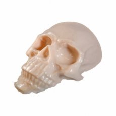 OEFSKU Reelskin Synthethic Practisch skull